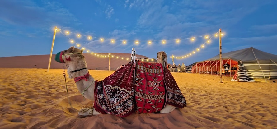 CAmel Desert Riyadh