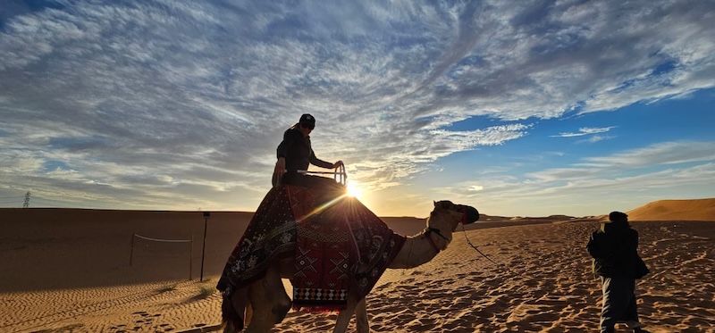 Riyadh Camel Riding