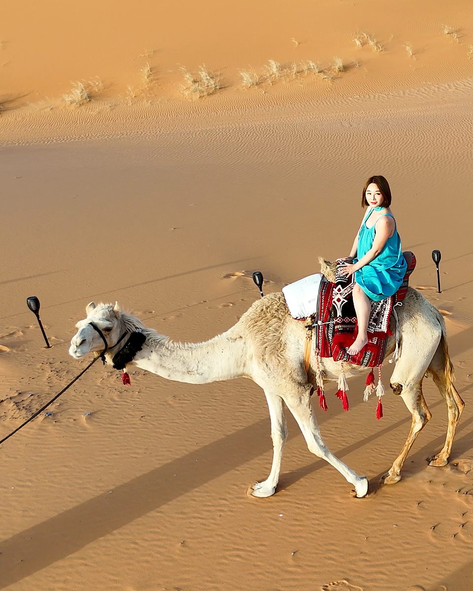 A guest riding a white camel across the sand near Riyadh